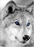 ikona andor-wolf-ico5745.jpg