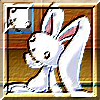ikona bunny3795.jpg