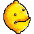 ikona citron5106.gif