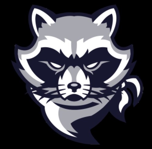 ikona raccoon1674.jpeg