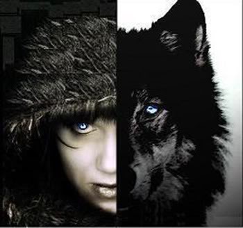 ikona wolf160.jpg